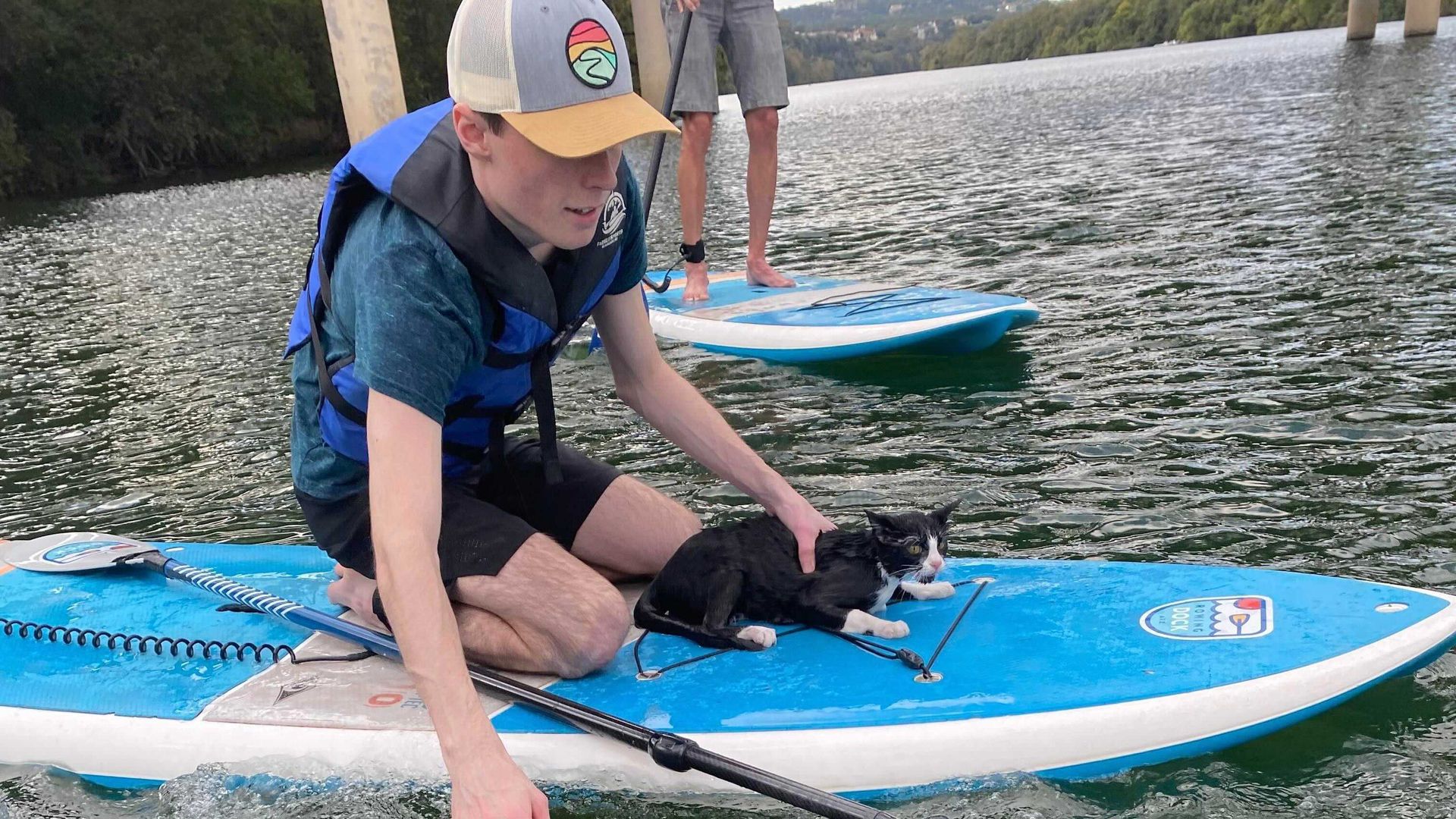 A photo of a man on a paddleboard holding onto a cat.