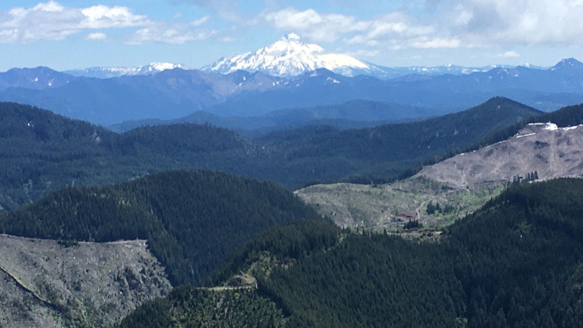 A conical snow-capped mountain with a mix of forest and clearcuts in the foreground.