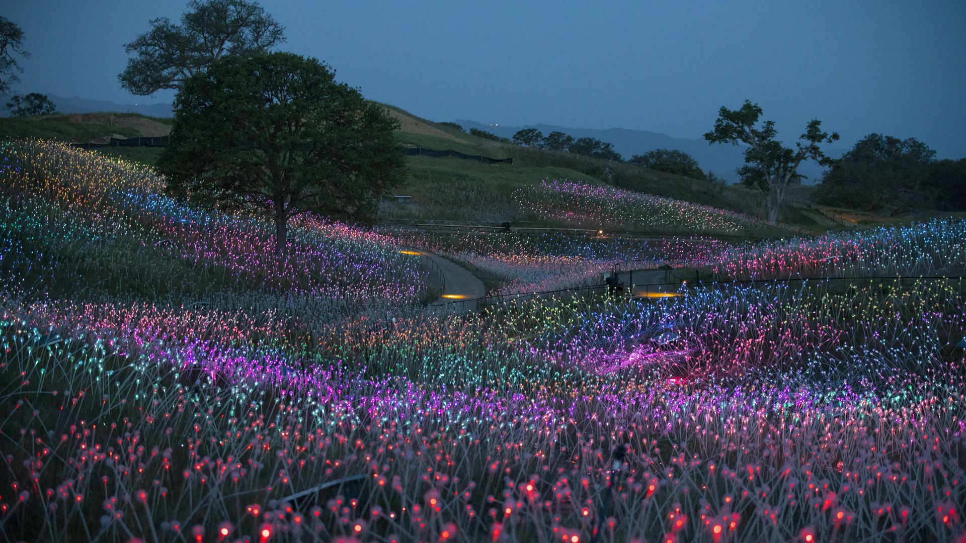 A view of the Field of Light art installation in California.
