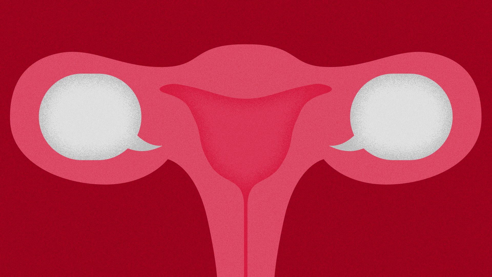 Illustration of the negative space within the female reproductive system replaced with speech bubbles. 
