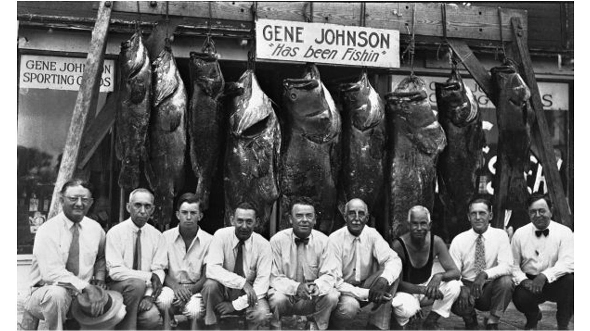 A historical photo showing a group of men kneeling in front of Goliath grouper