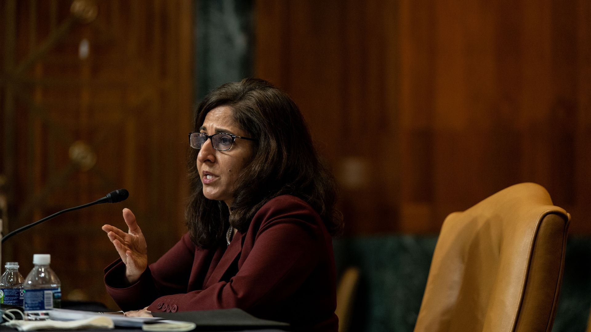 Photo of Neera Tanden speaking in her confirmation hearing