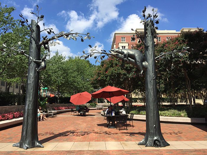 525-tryon-bear-in-tree