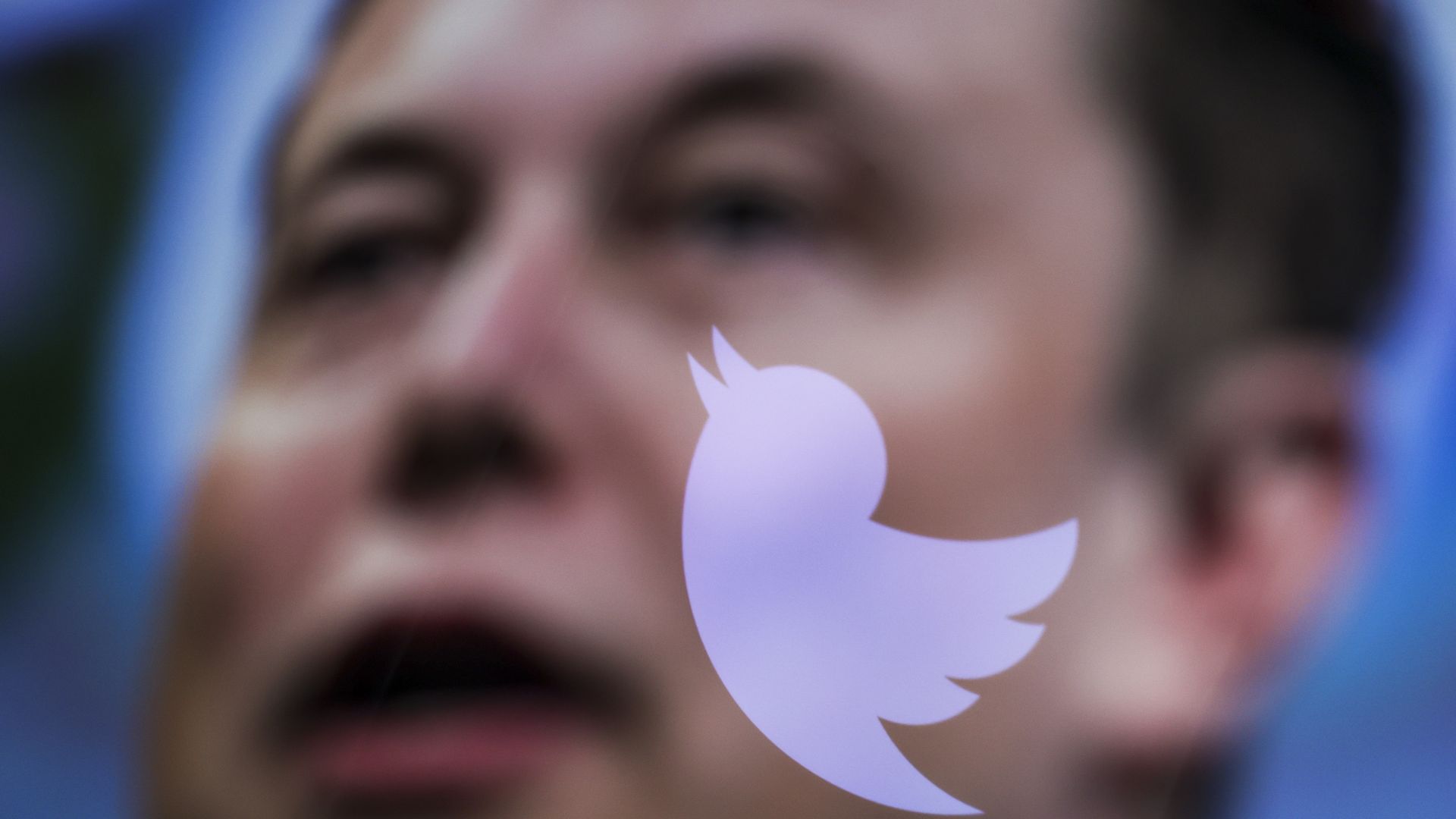 Elon Musk with Twitter logo