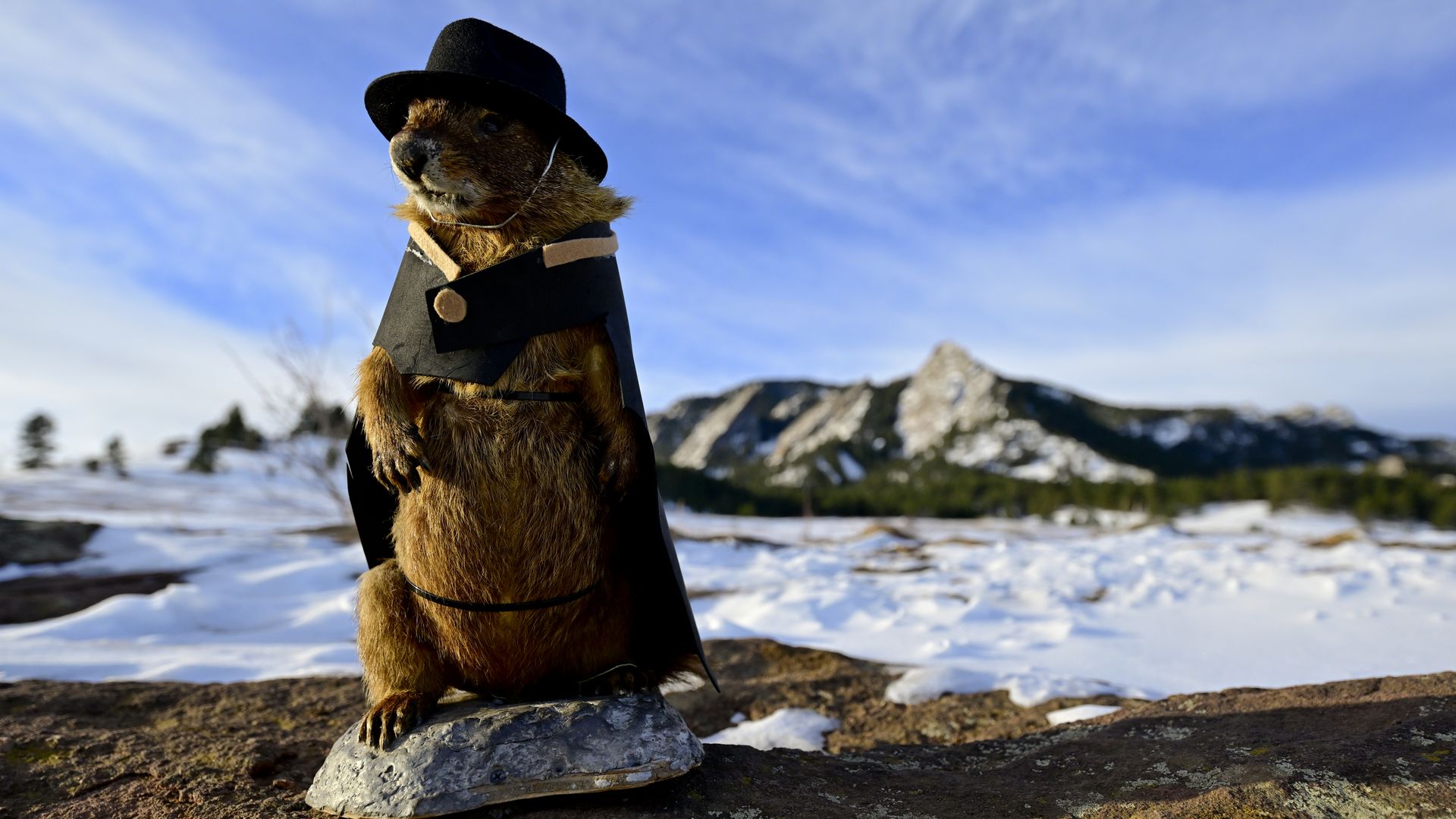 A taxidermy rodent dressed in a black cape and hat stands on a rock in a snowy mountainous landscape under a blue sky.