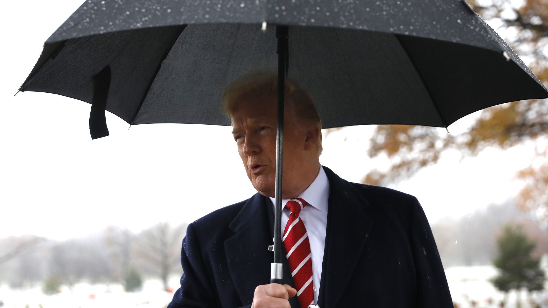 President Trump at Arlington National Cemetery