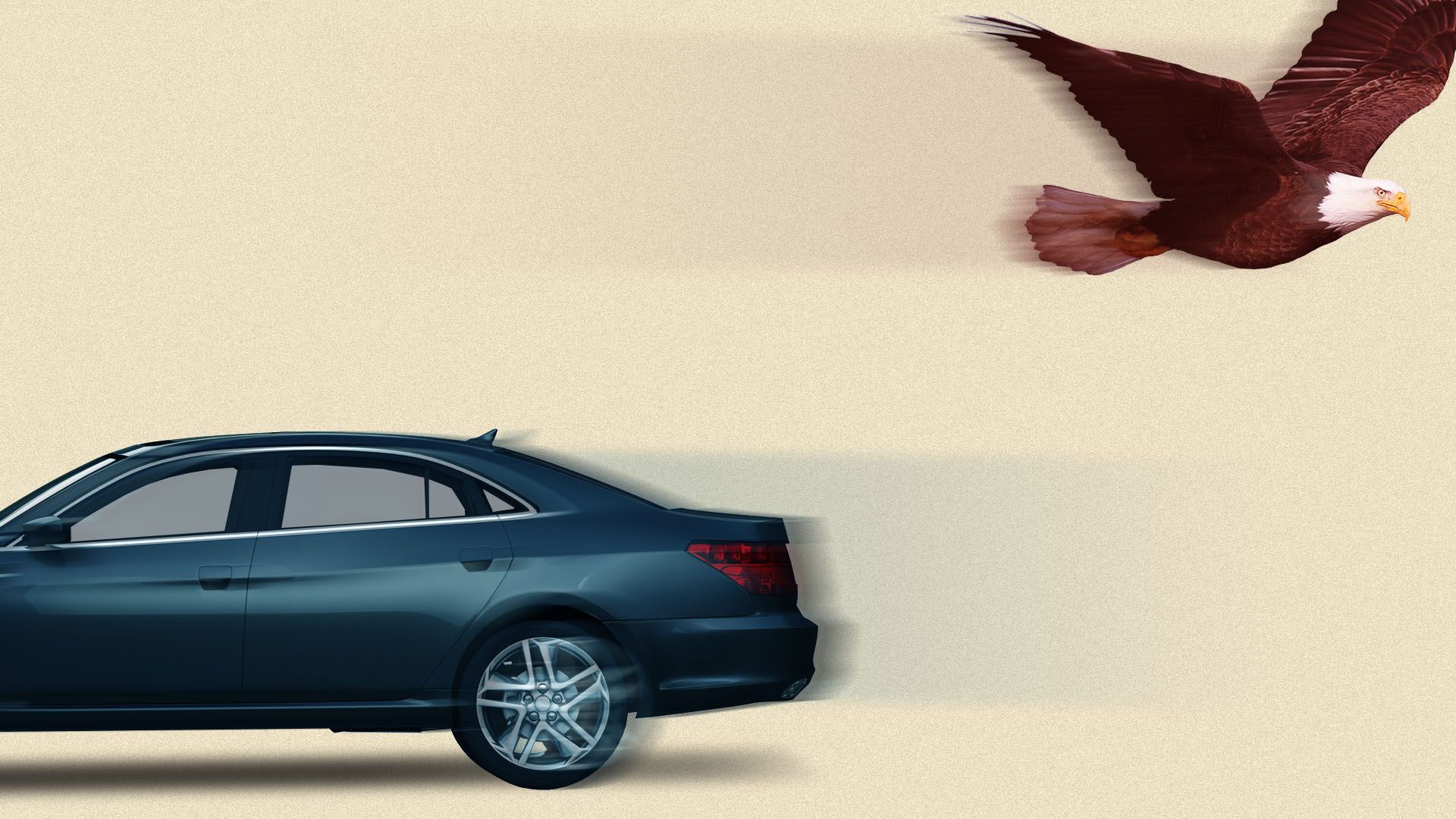 Illustration of a speeding car with a flying eagle above it passing by in the opposite direction