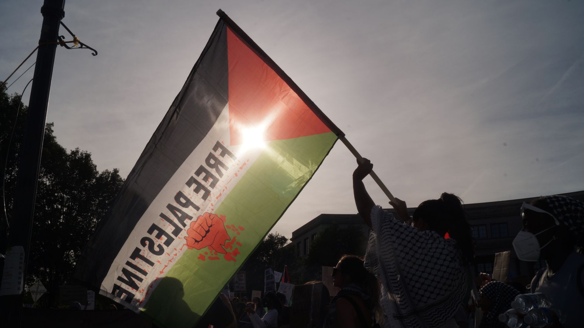 A free Palestine flag with sun behind it