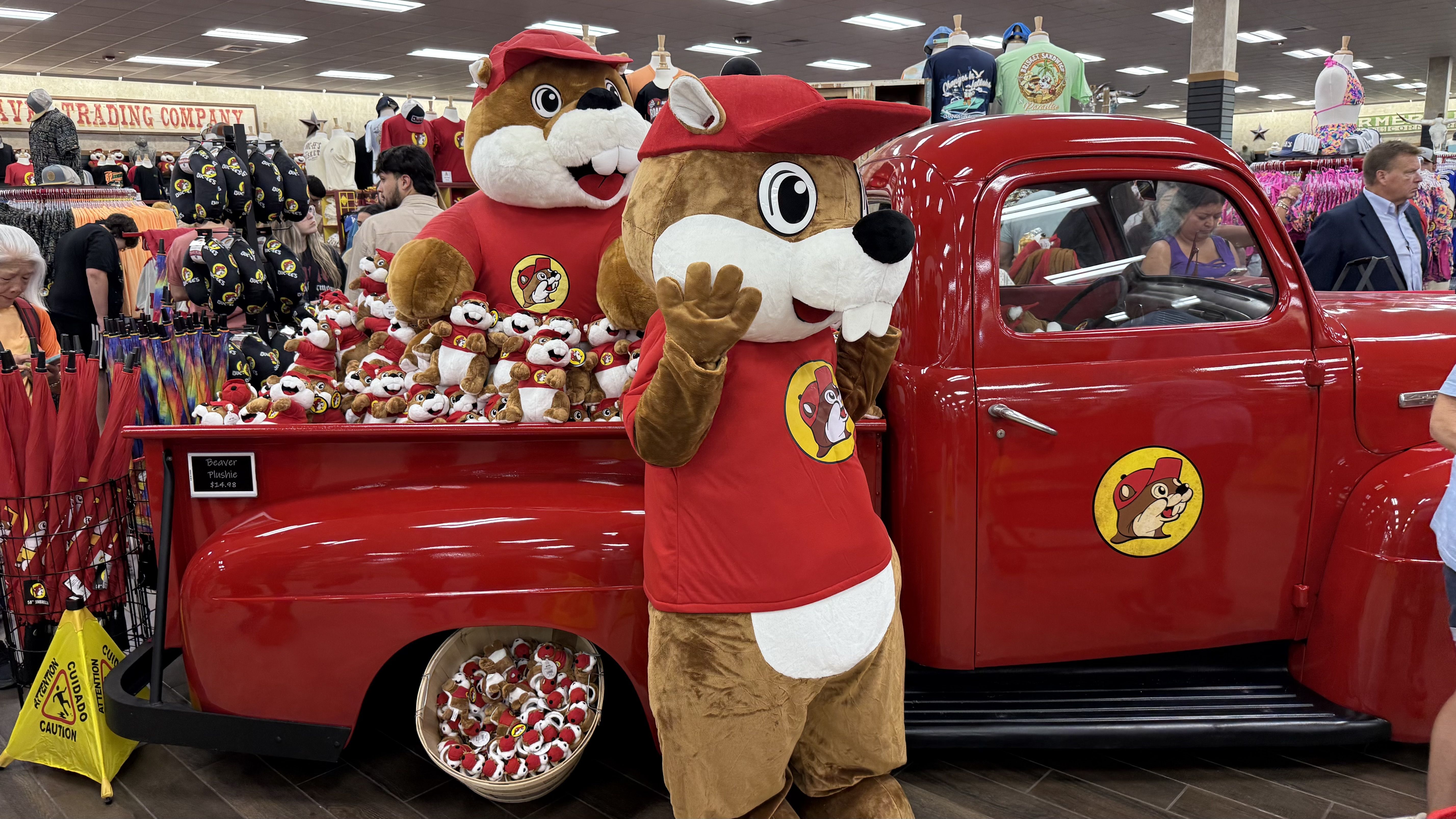 Indoor retail scene featuring large plush beaver mascots in red Buc-ee's shirts posing near a shiny red vintage pickup truck. Surrounded by beaver plush toys, apparel, and shoppers.