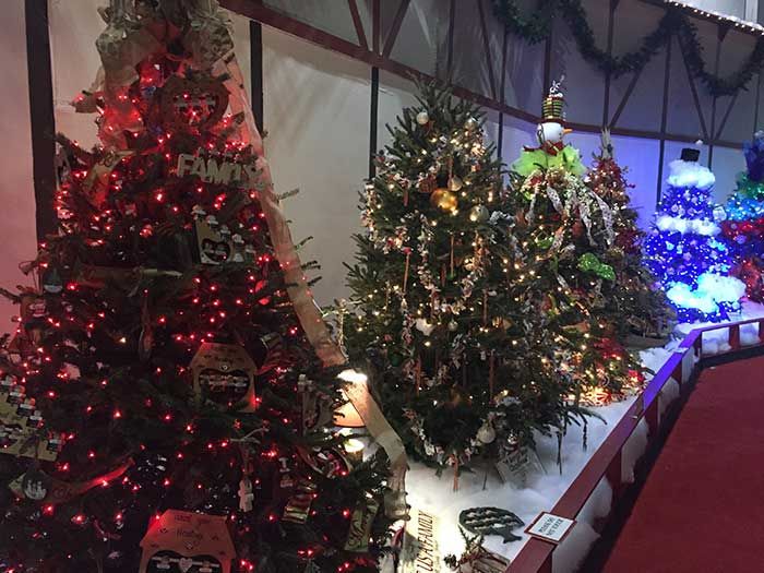 southern-christmas-show-trees