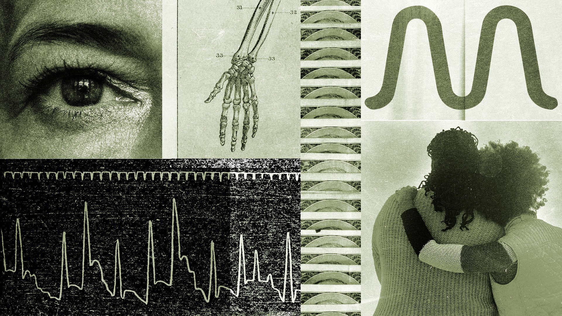 Illustration of a collage of FemTec Health's logo, money, medical diagrams and anonymous women.