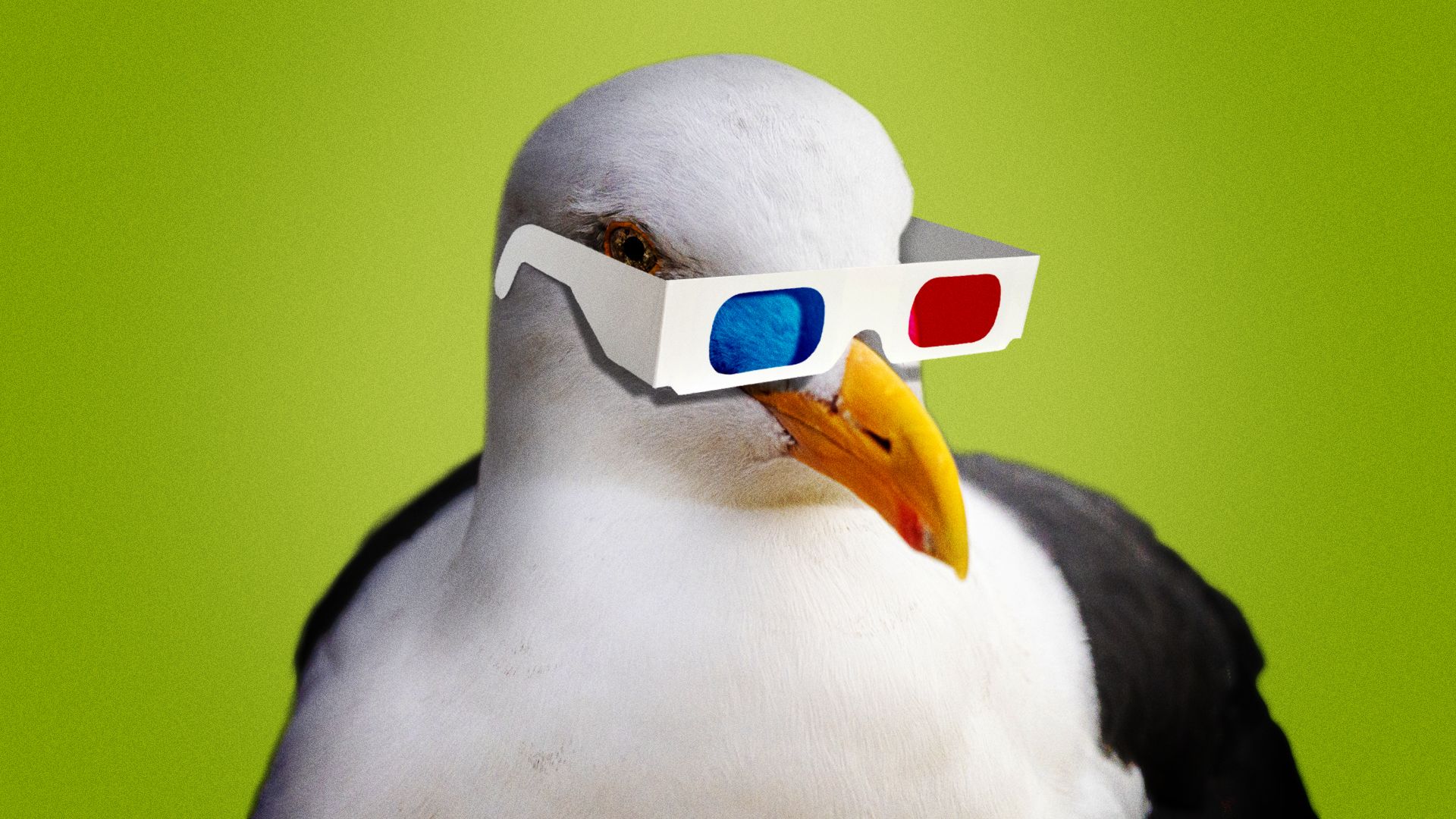 Illustration of a seagull wearing 3D movie glasses.