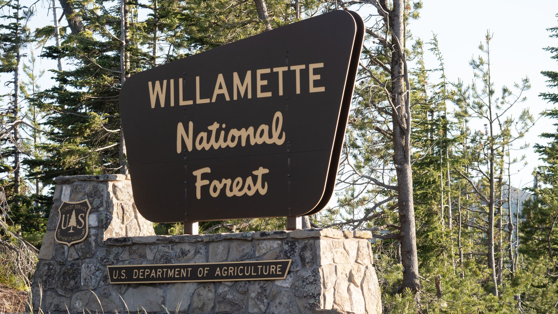 Sign for Willamette National Forest mounted on a stone base with the USDA Forest Service emblem; tall pines surround the scene in a forest setting.