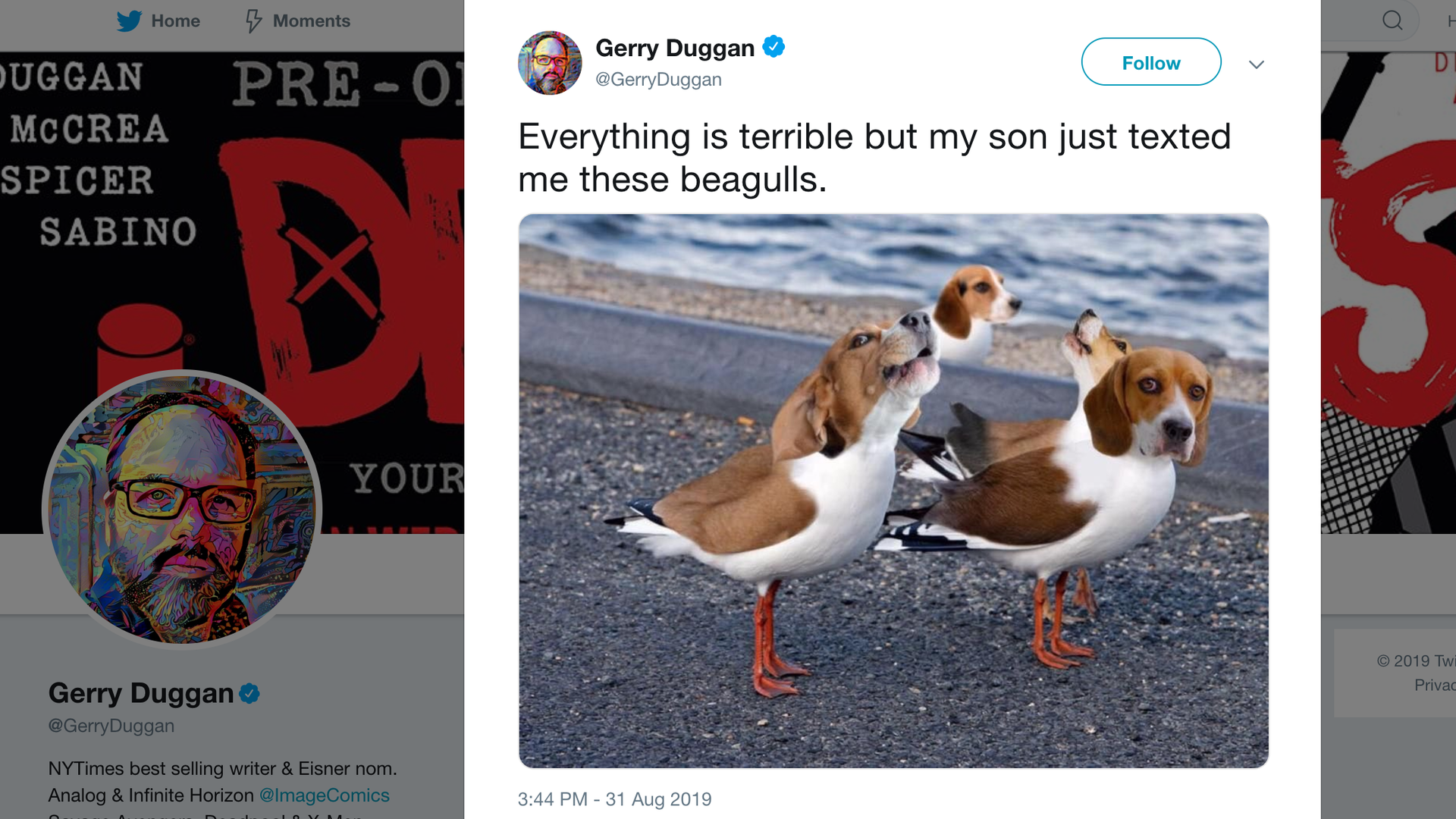 A screenshot of a tweet showing, Beagulls, a photoshop of Beagle heads on seagull bodies.