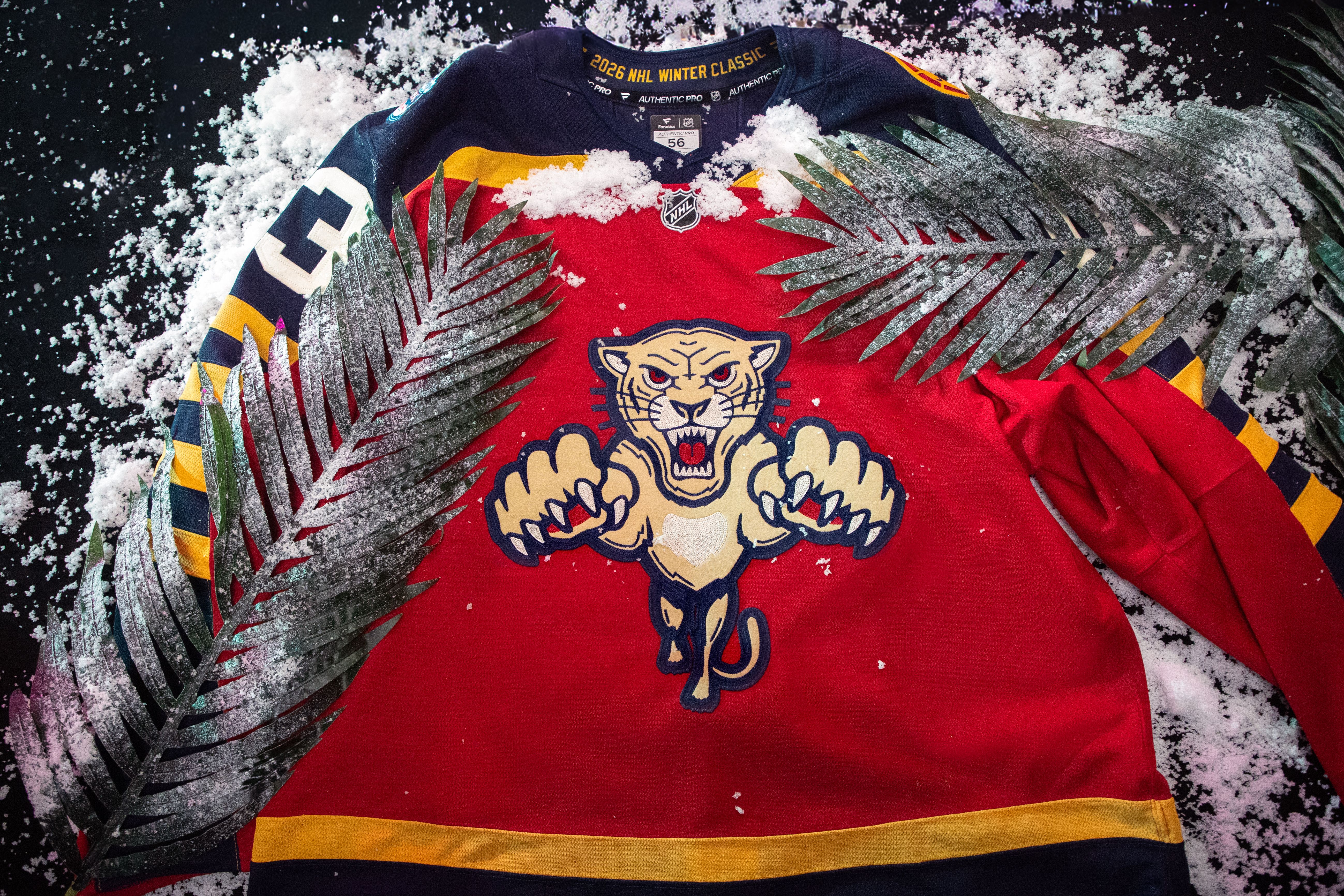 The new Panthers Winter Classic jersey