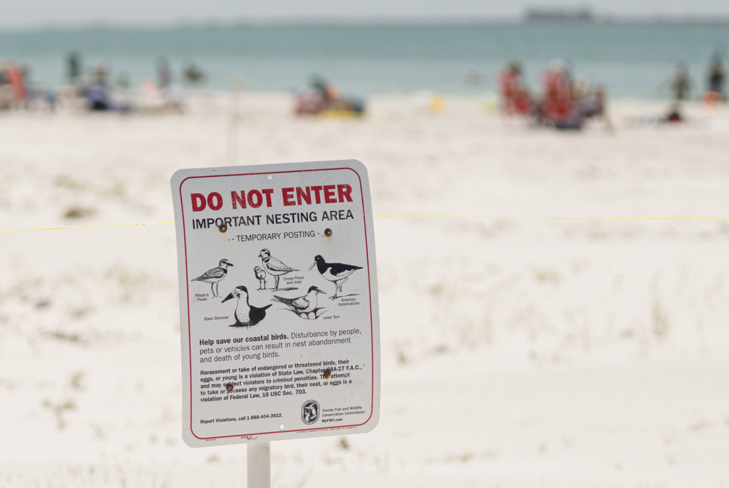 A sign on a white sandy beach that says "DO NOT ENTER IMPORTANT NESTING AREA" with drawings of the following bird species: Wilson's plover, snowy plover, black skimmer, least tern and American oystercatcher.