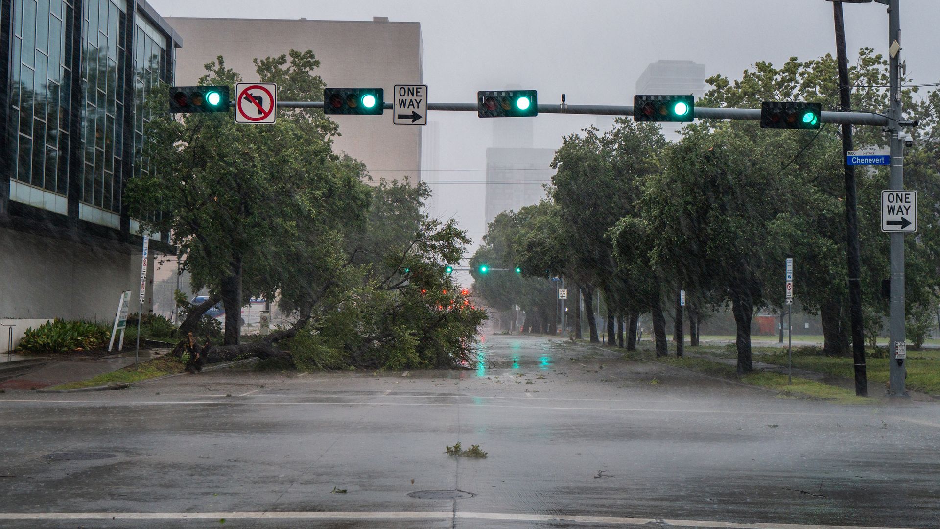 A tree is toppled over in downtown Houston