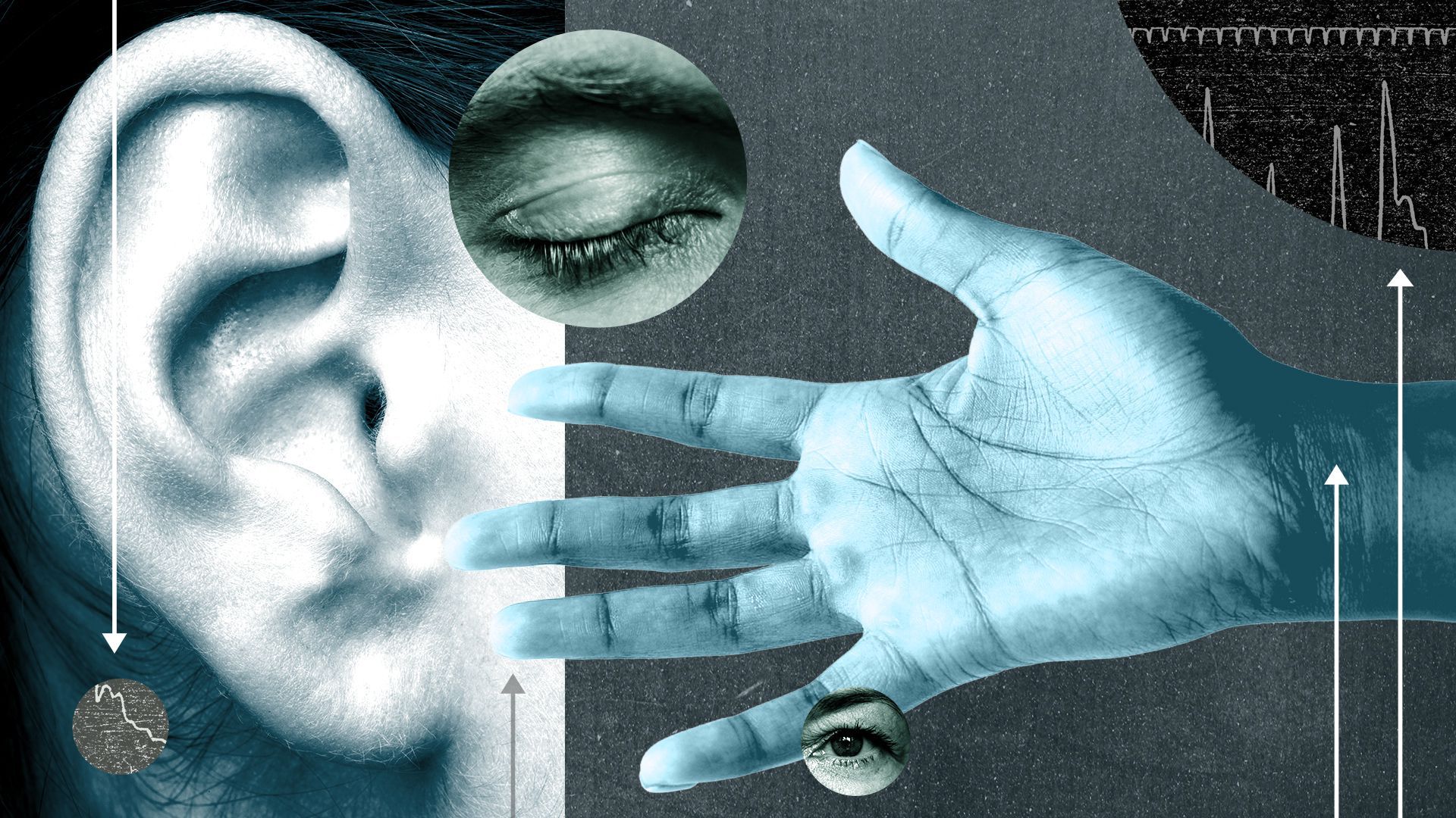 Illustrated collage of an outstretched hand, eyes, pulse rates and an ear.