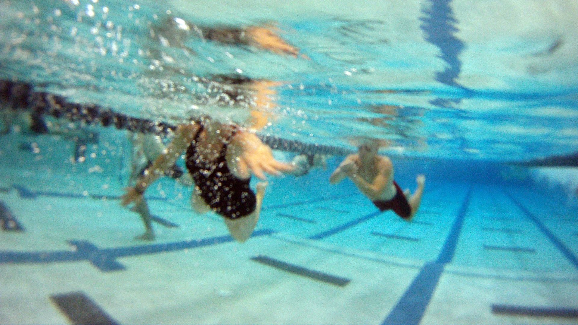 Swimmers in the pool