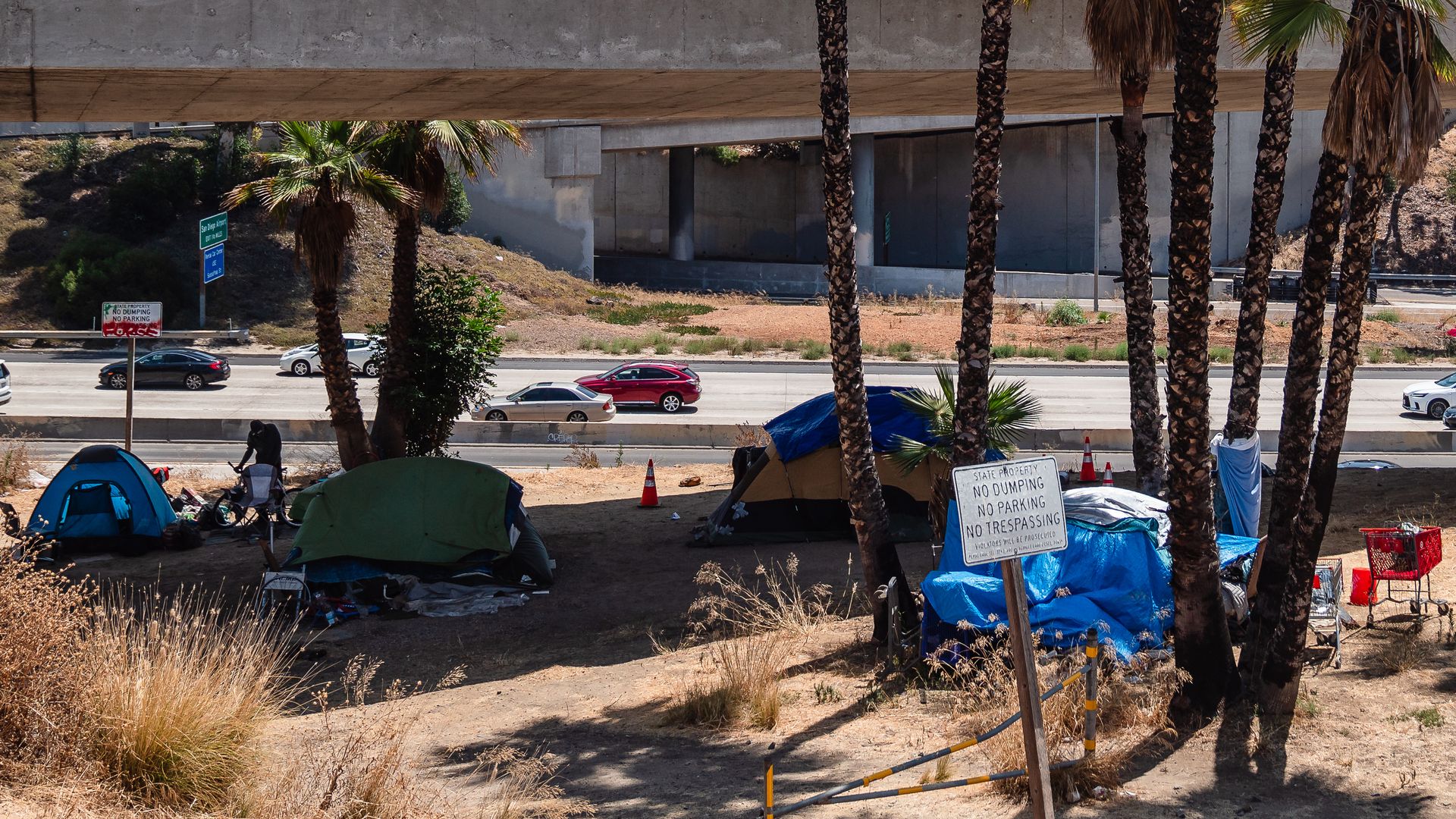 A an ecnampment under a freeway overpass, next to another freeway, surrounded by palm trees