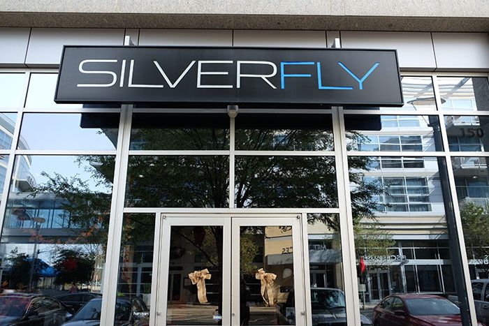 Silver-fly-Metropolitan