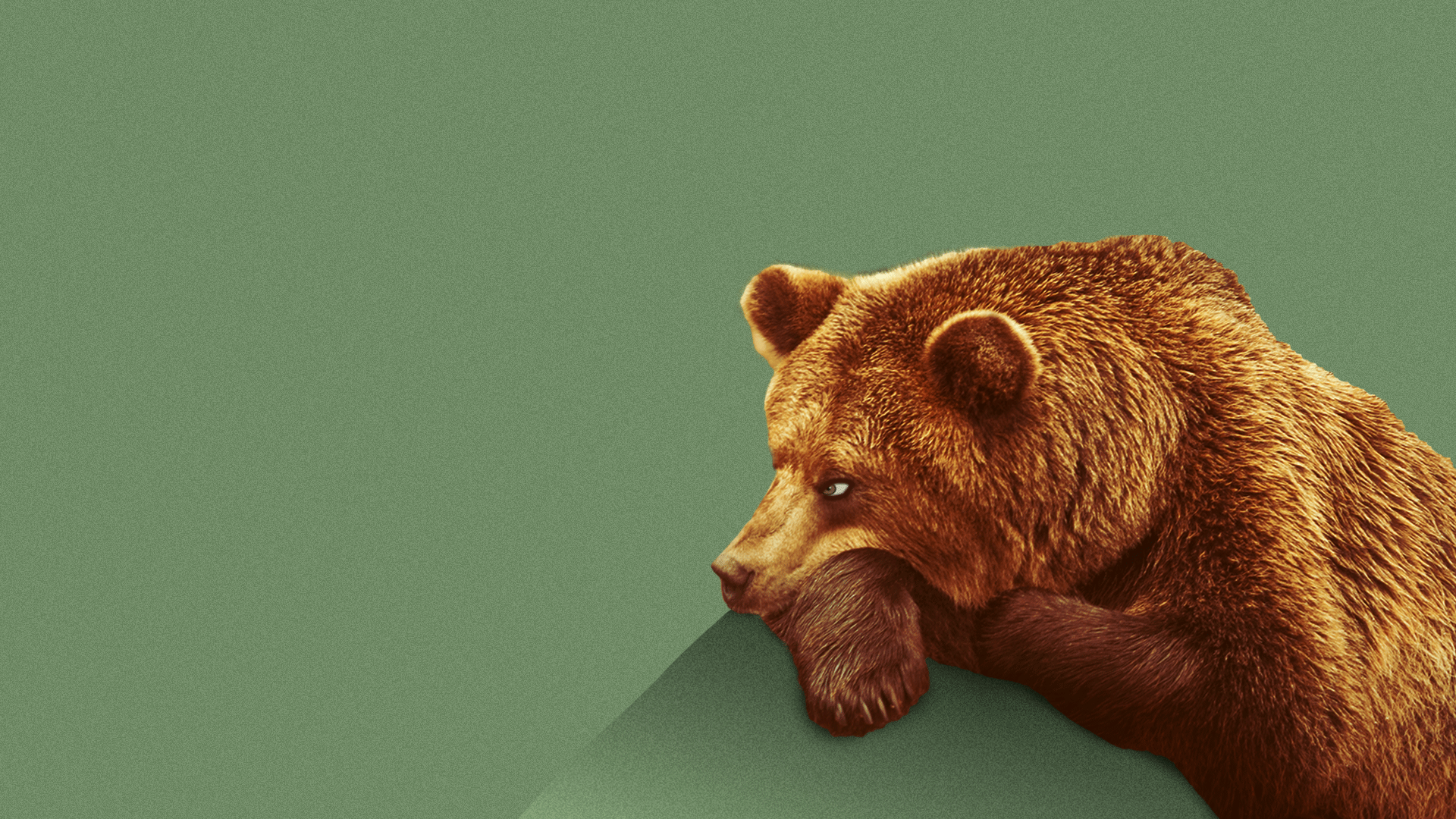 Illustration of a bored bear rolling its eyes.