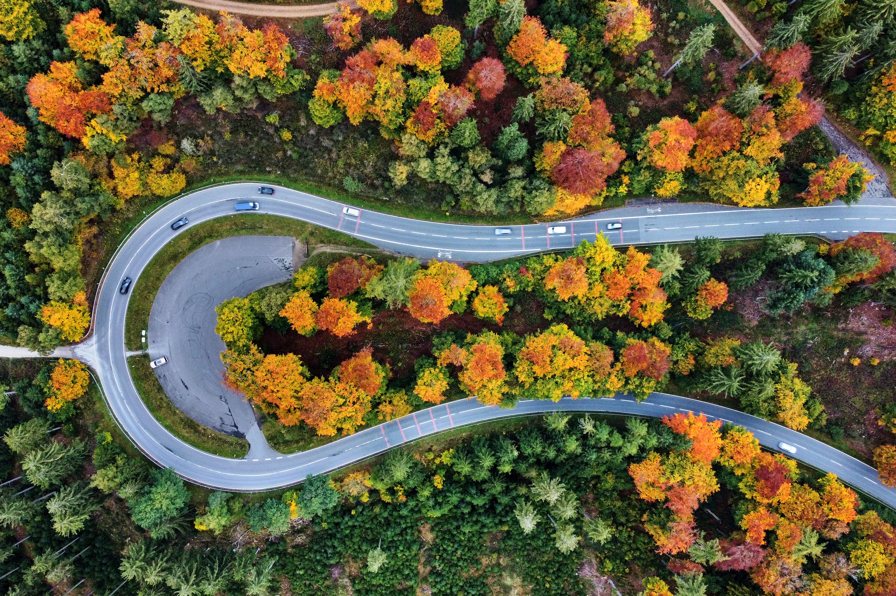 Bird's eye view of fall foliage