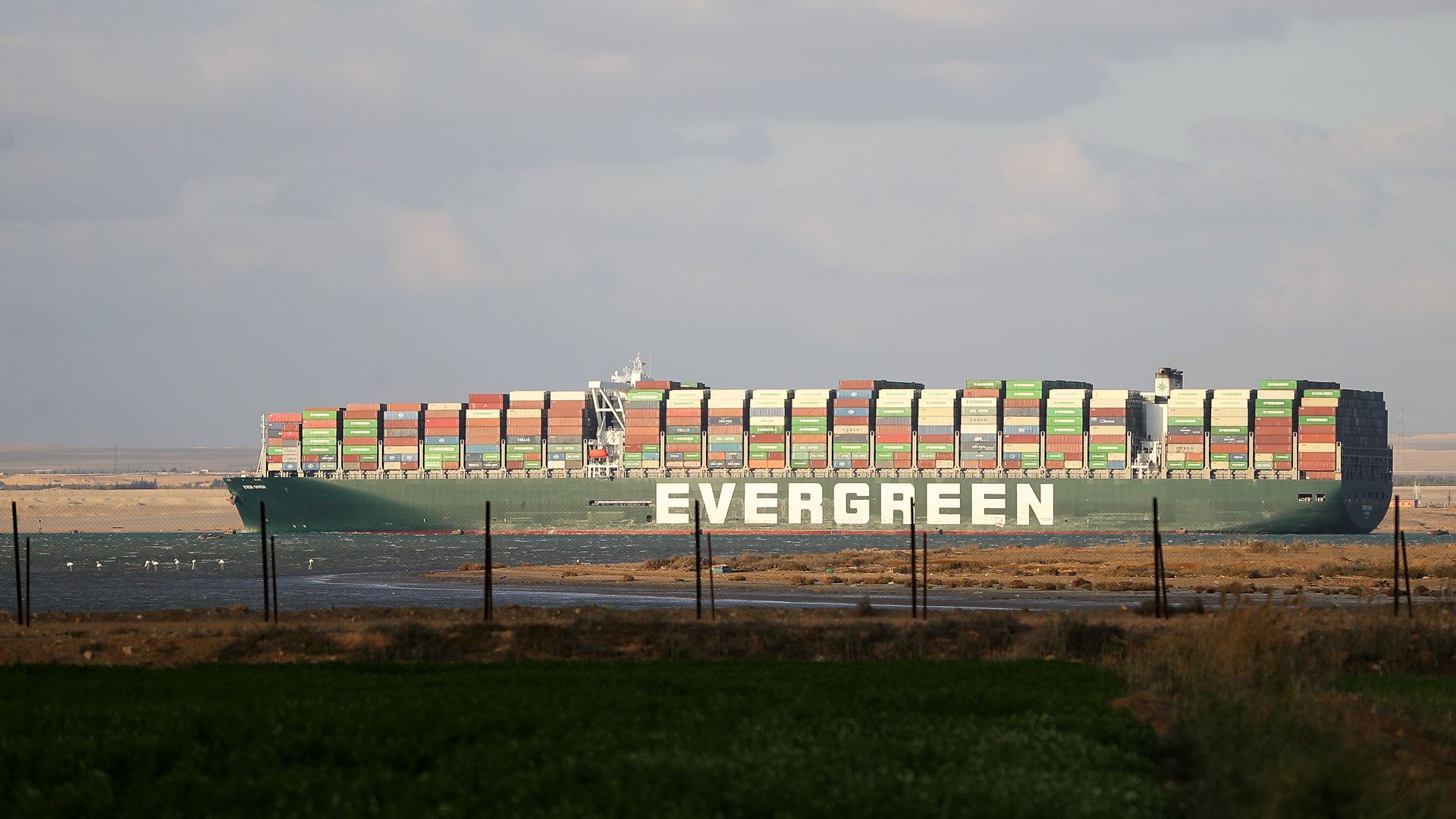 Picture of the Ever Given ship who caused a blockage in the Suez Canal