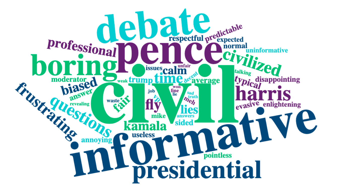 A word cloud of reactions to the vice presidential debate