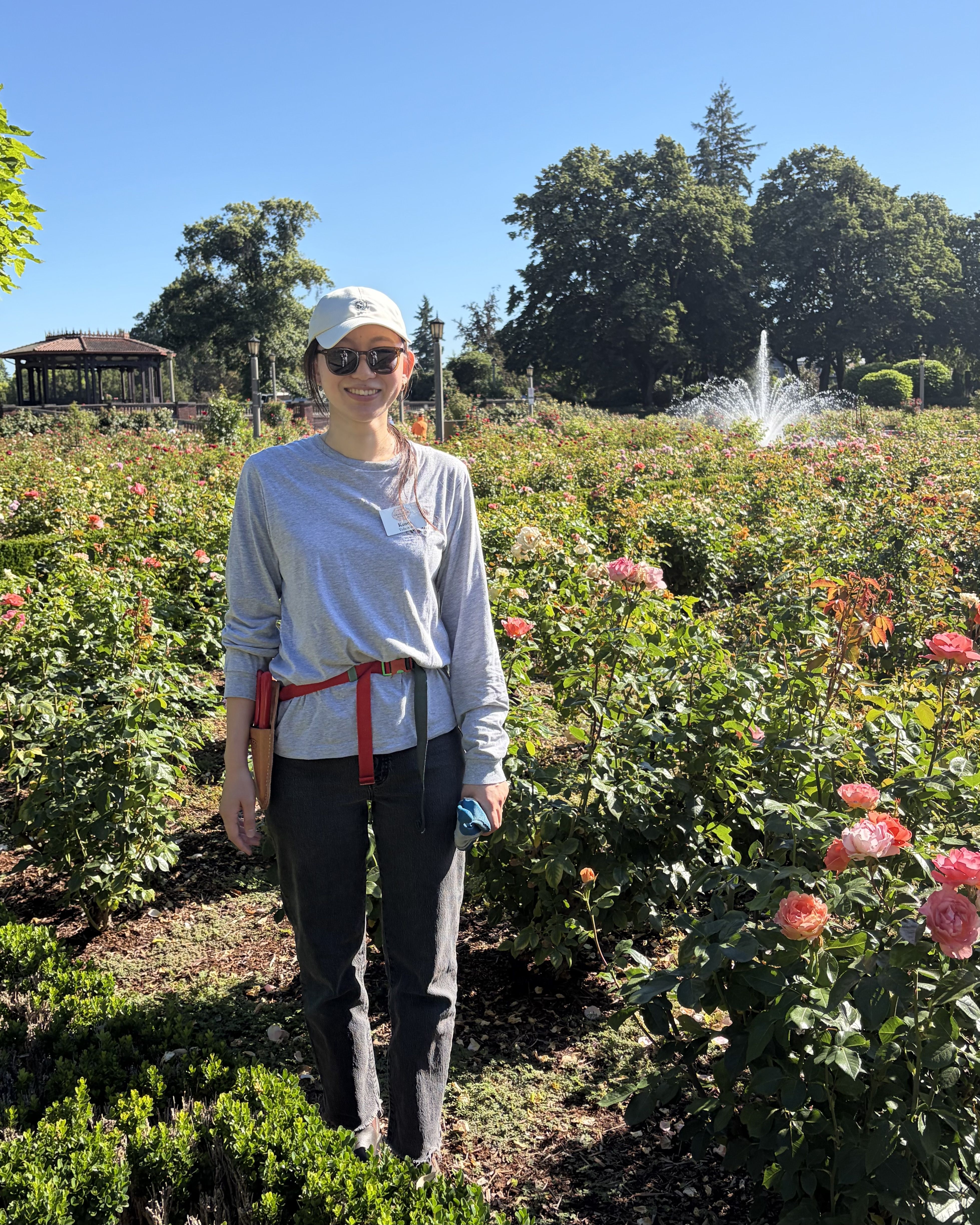 Smiling person wearing a light gray long-sleeve shirt, white cap, and sunglasses stands in a rose garden with pink and red roses, a distant fountain, and a gazebo on the left under a clear blue sky.