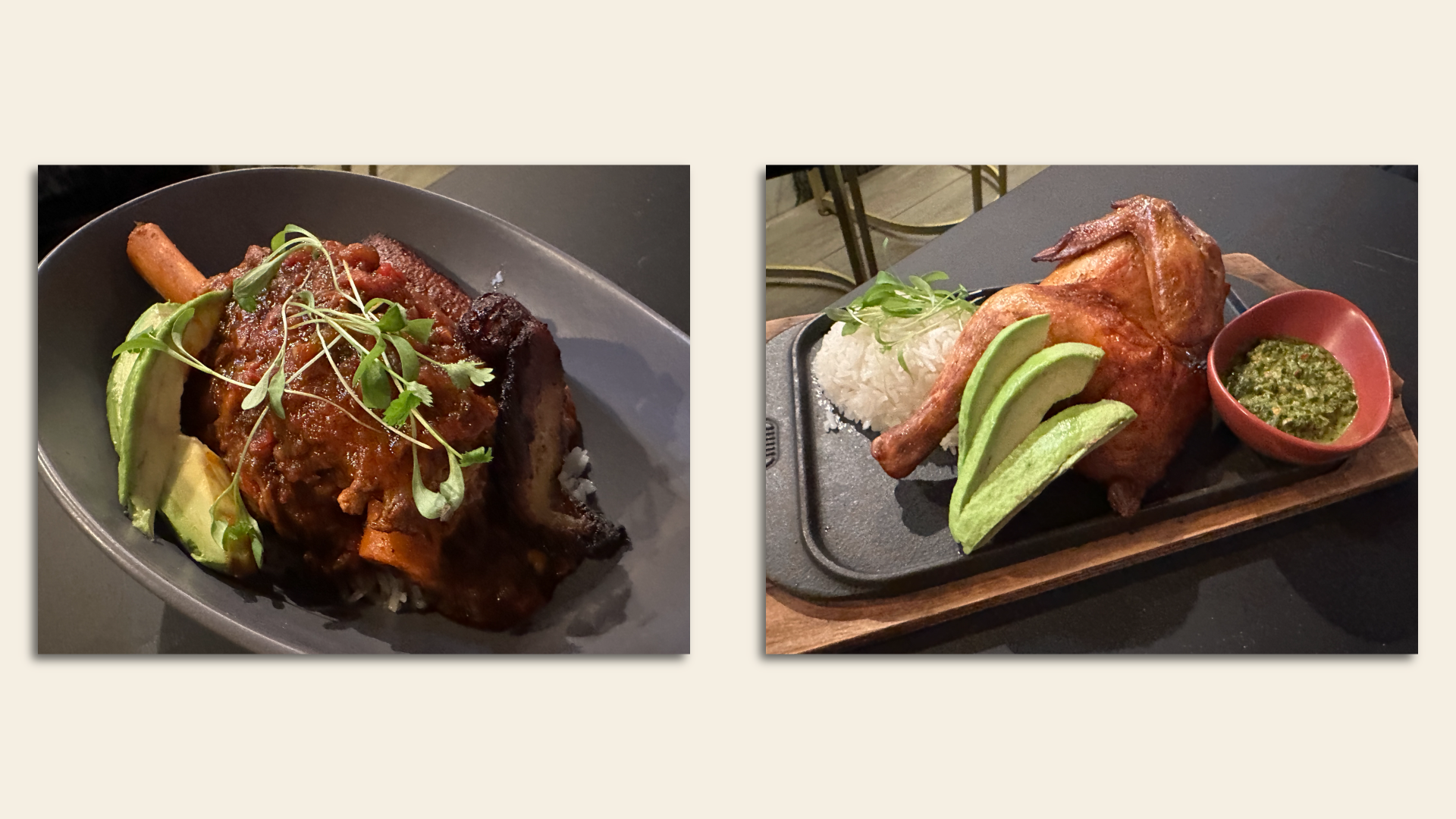 photo of lamb stew and chicken