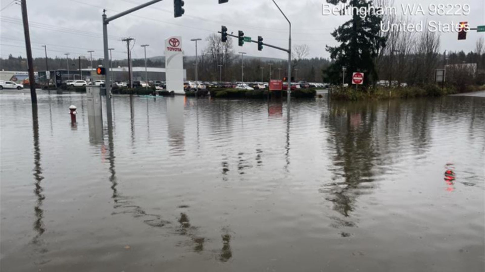 Water covers the road and submerges street signs and traffic lights at an intersection in Bellingham. 