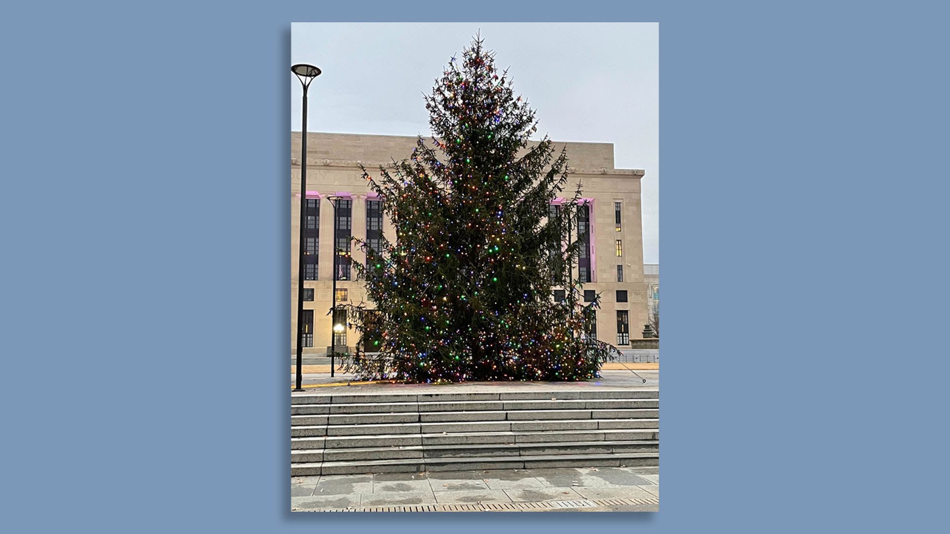 Nashville's Christmas tree, a 35-foot Norway Spruce, outside of the courthouse 