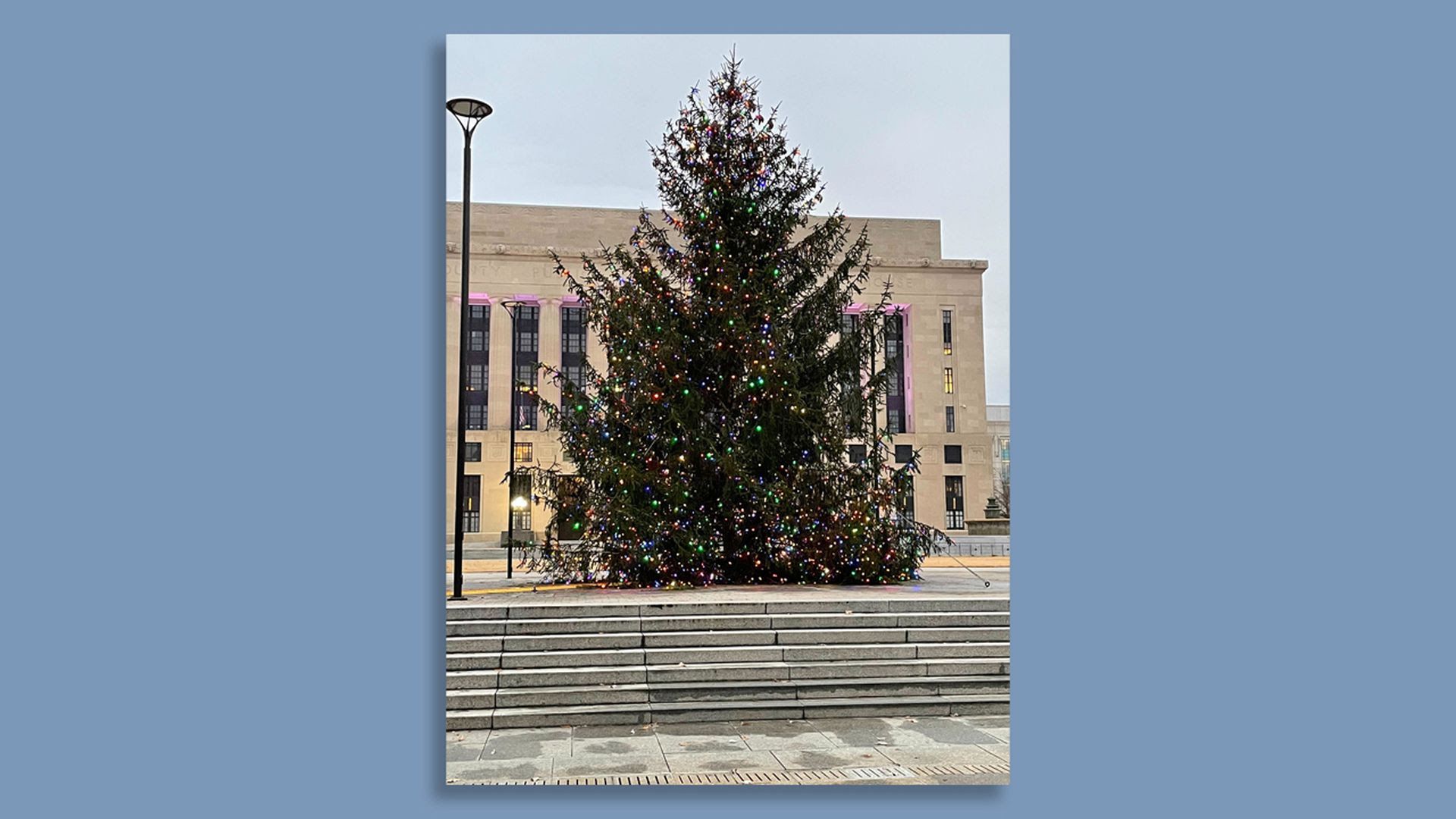 Nashville's Christmas tree, a 35-foot Norway Spruce, outside of the courthouse