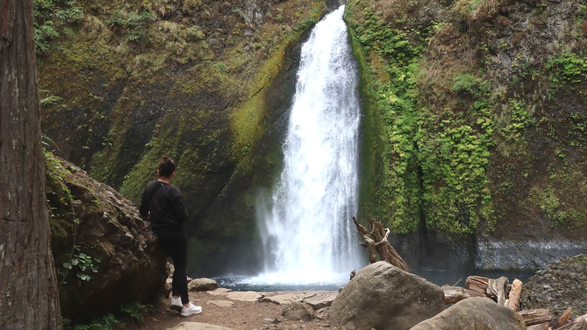 A woman leans against a rock looking at a large waterfall in a lush green canyon.