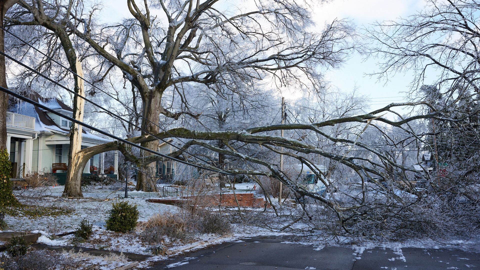 A tree collapsed onto power lines in East Nashville.