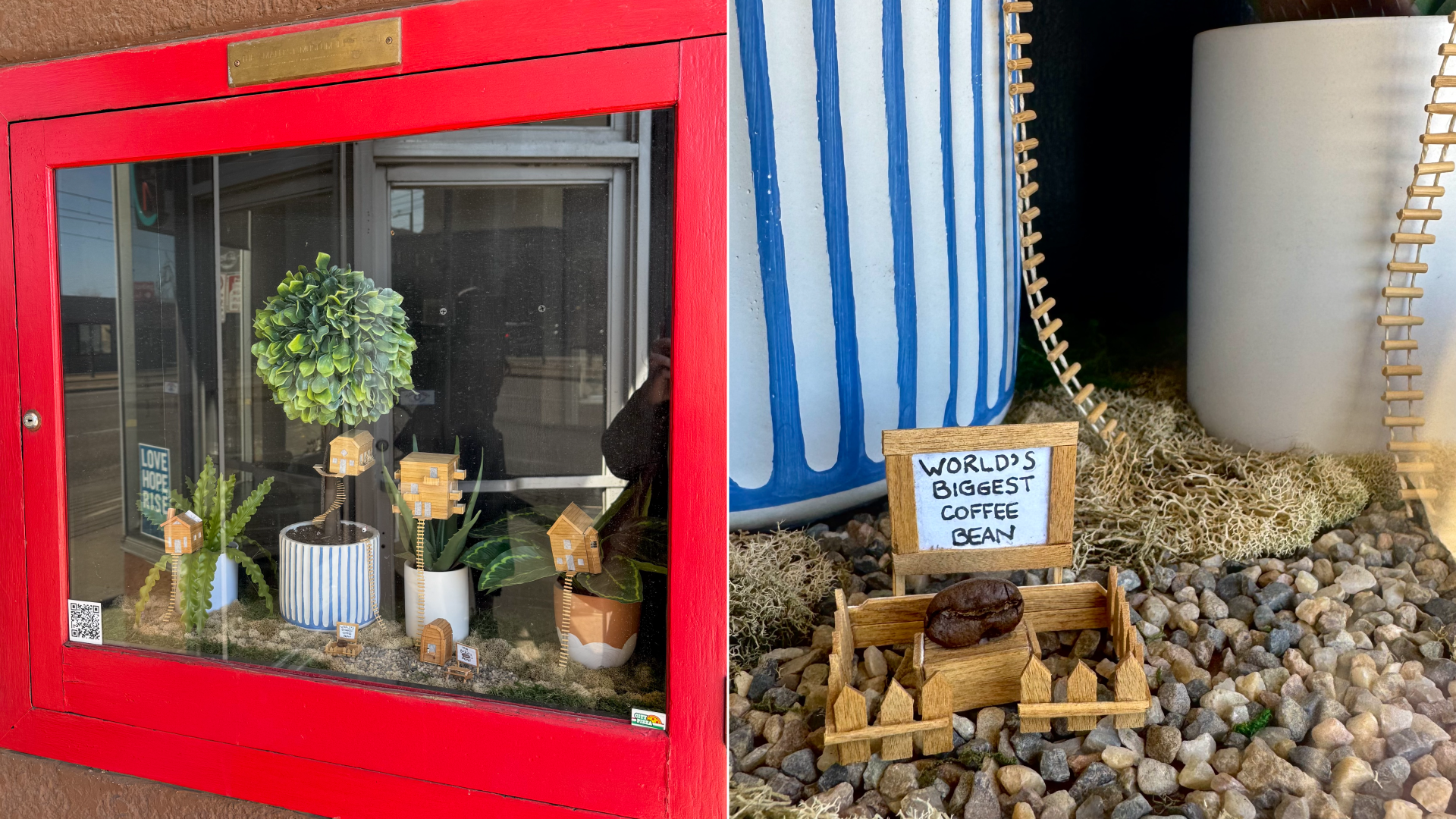A split-screen image of a fire hose box with the interior filled with tiny objects, including the "World's Largest Coffee Bean."