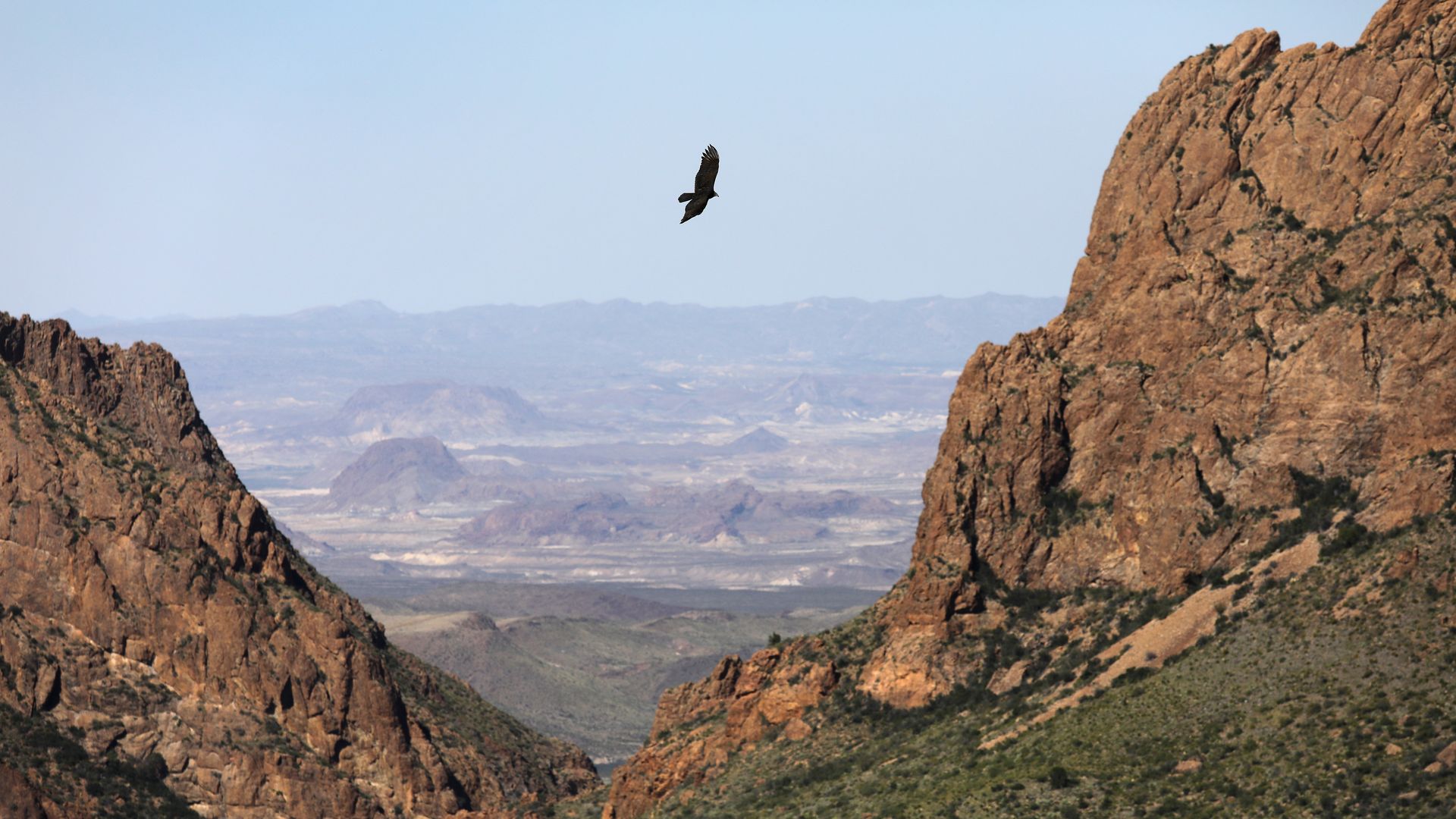 A lone dark bird flies between two tall, rugged brown canyon walls, with a distant desert valley and hazy mountains on the horizon under a clear blue sky.