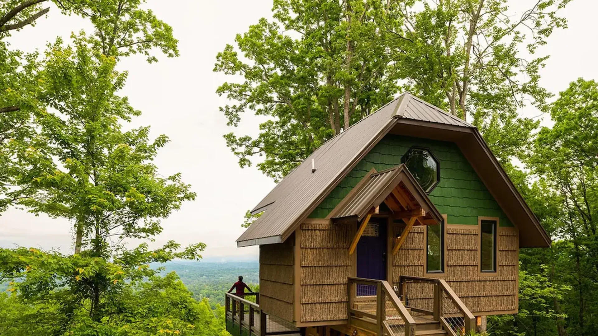 treehouse airbnbs near charlotte