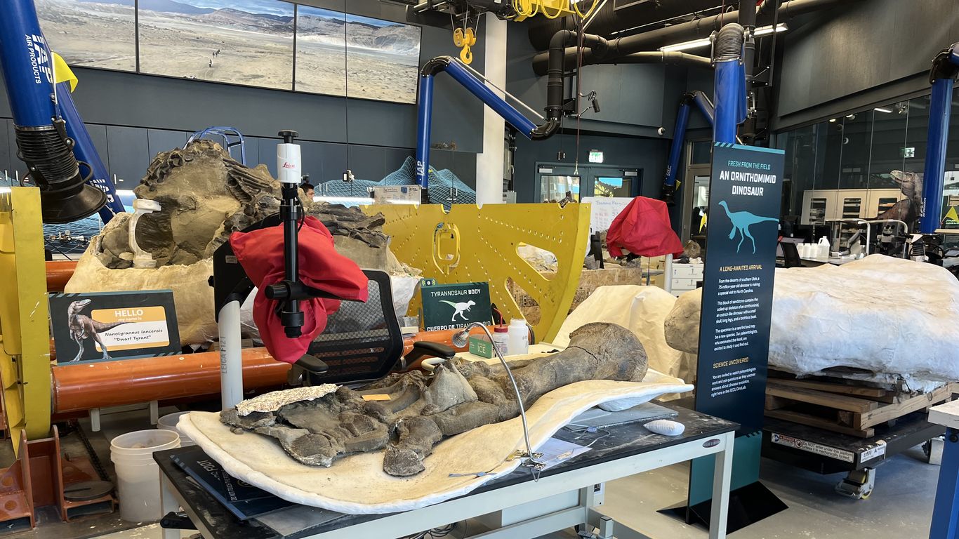 Watch Raleigh scientists uncover a 75-million-year-old dinosaur