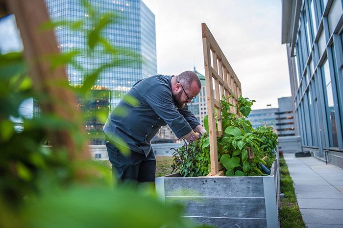 bob-peters-rooftop-garden