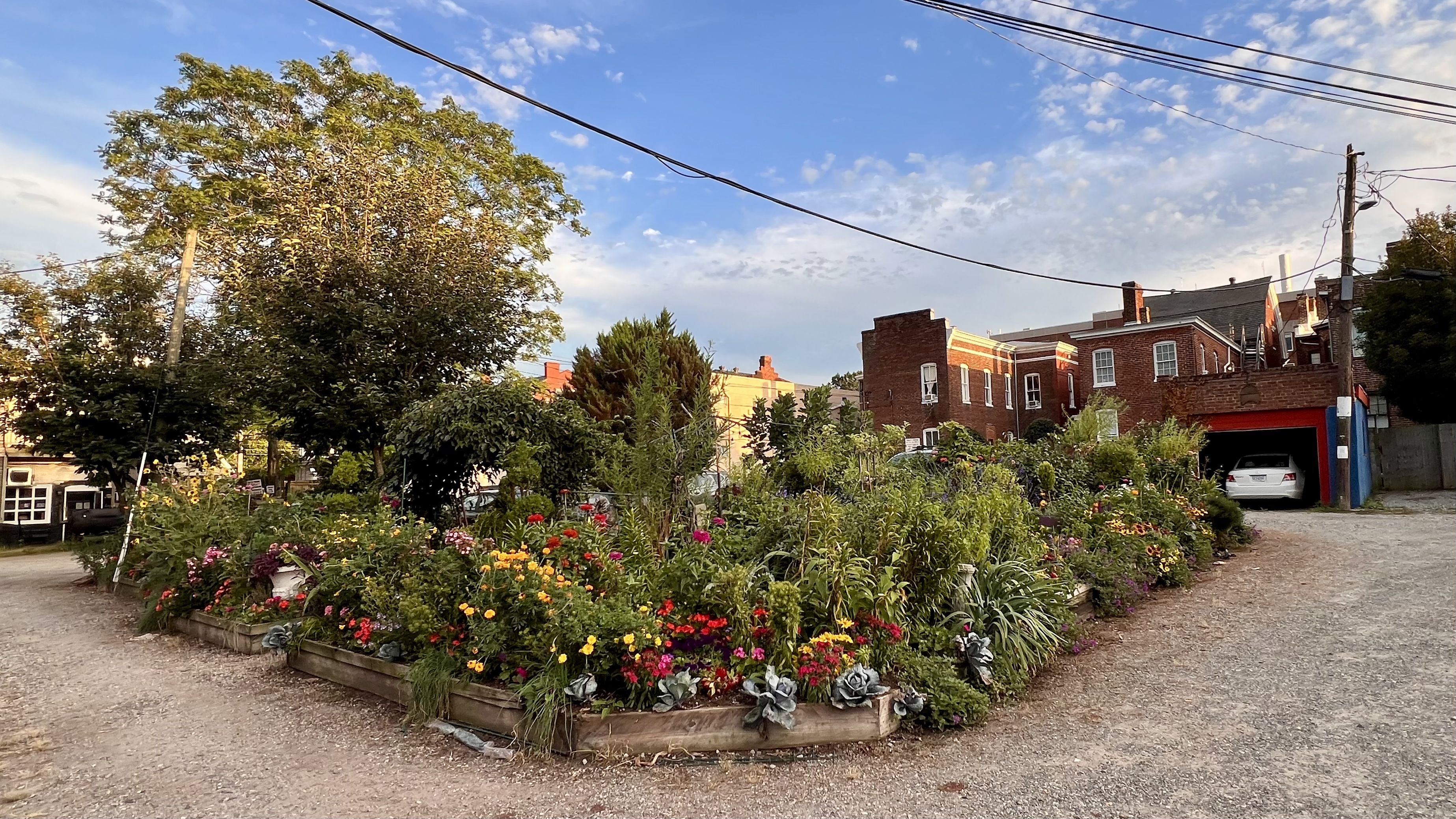 A vibrant community garden with colorful flowers and greenery in raised wooden beds is surrounded by gravel paths, with brick buildings and a partly cloudy blue sky in the background.