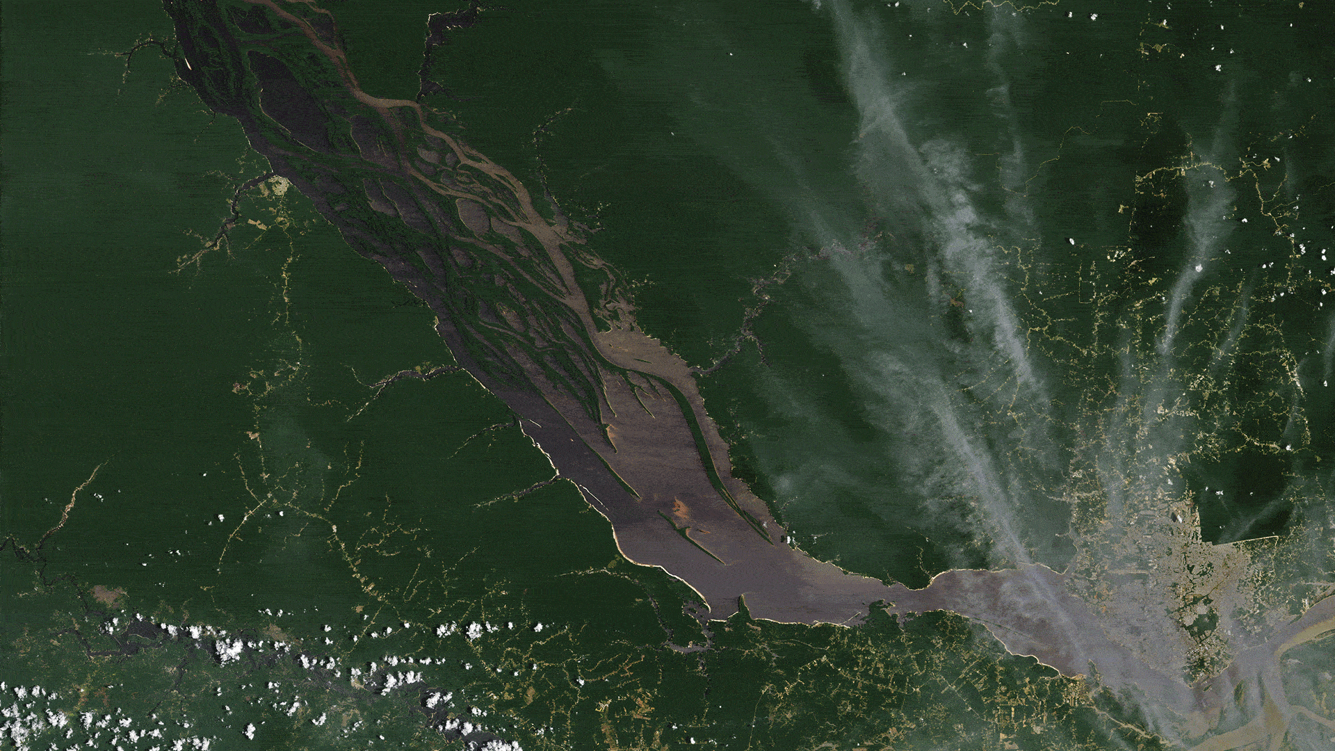 Before and after animation of satellite images along a tributary of the Amazon River, with the most recent NASA image taken Oct. 3. 