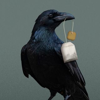 Death Cafe: Why strangers are talking about dying over tea