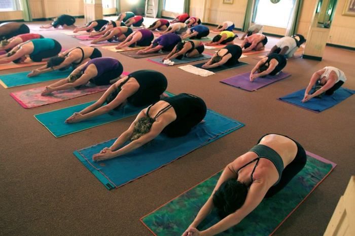 Yoga Oasis Charlotte