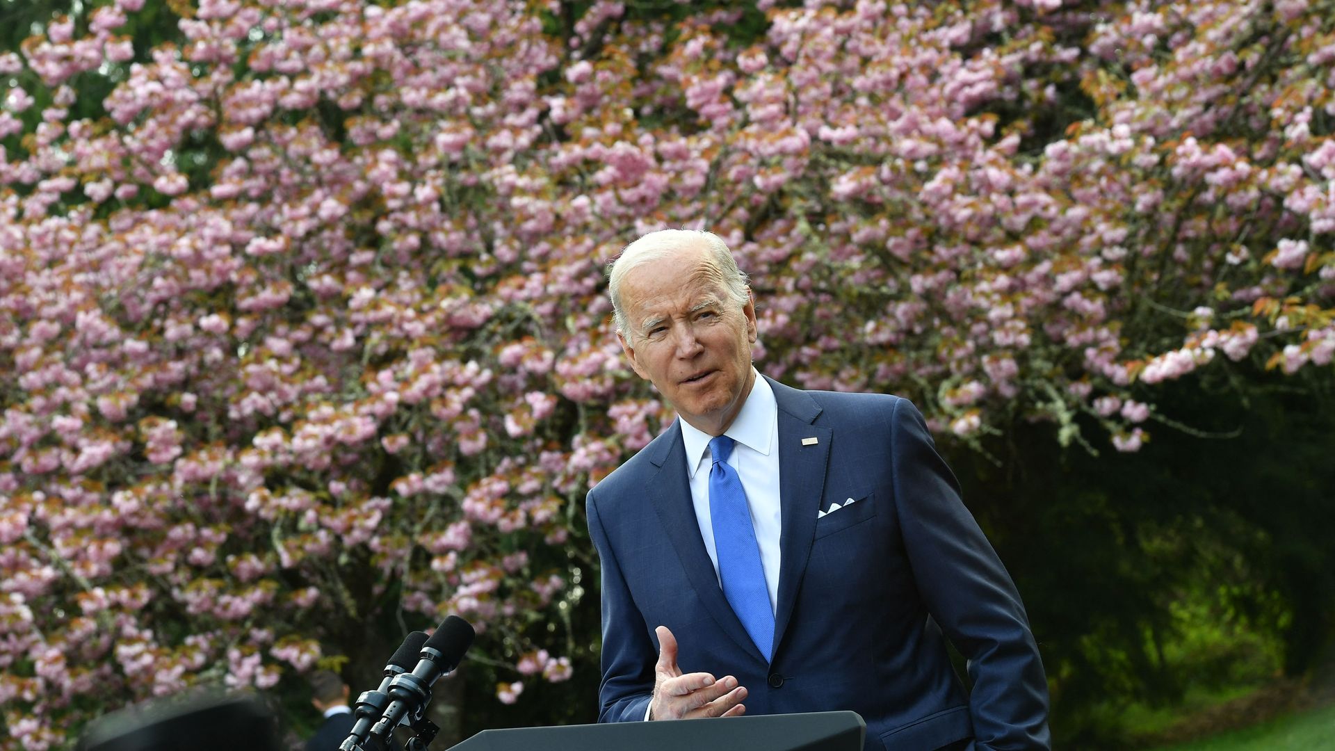 Photo of Joe Biden speaking with his right hand raised in front of him against the backdrop of cherry blossom trees