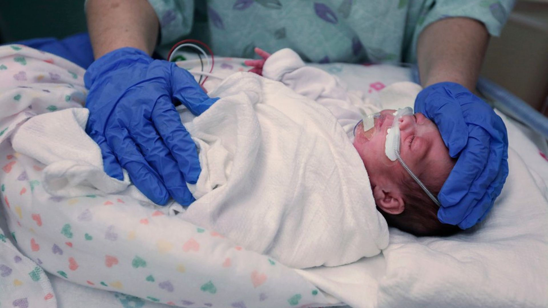 How the immune system acts during pregnancy