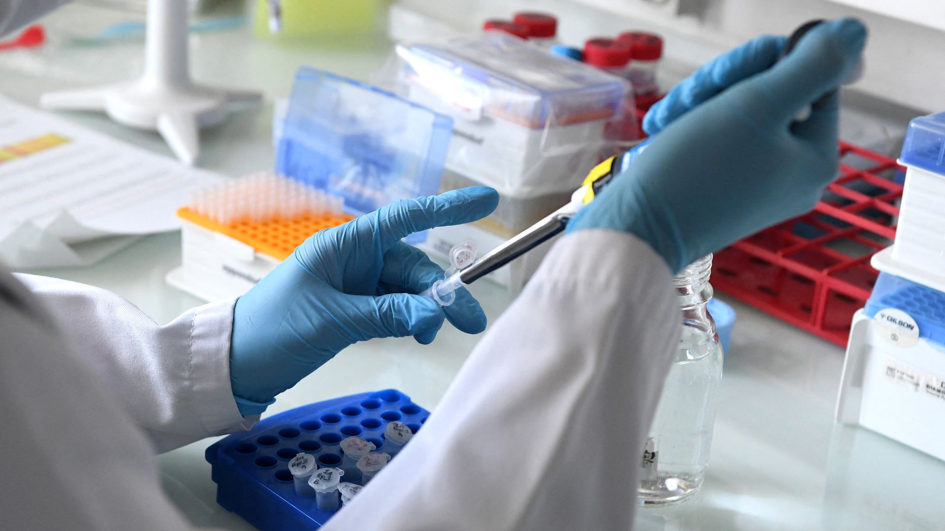 A laboratory staff works at a non-profit gene therapy organization.
