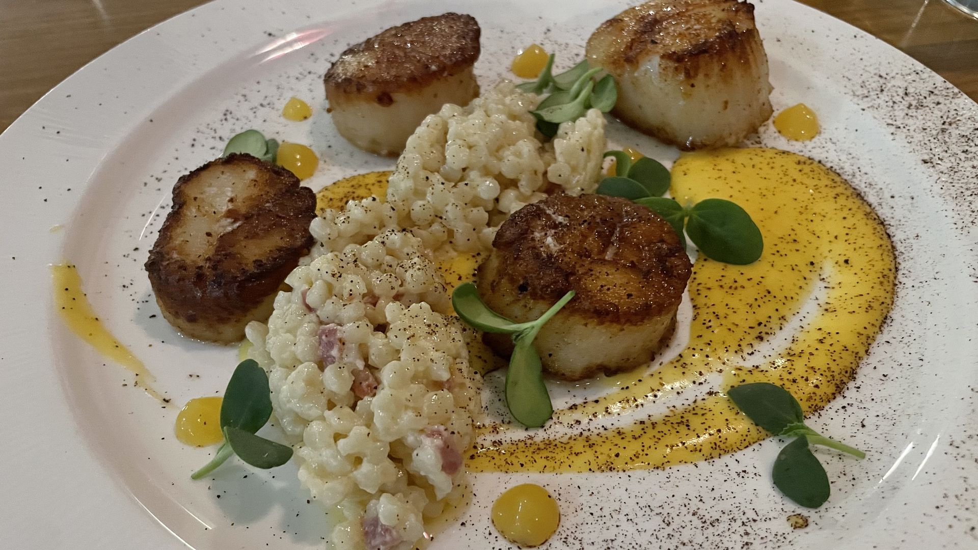 scallops