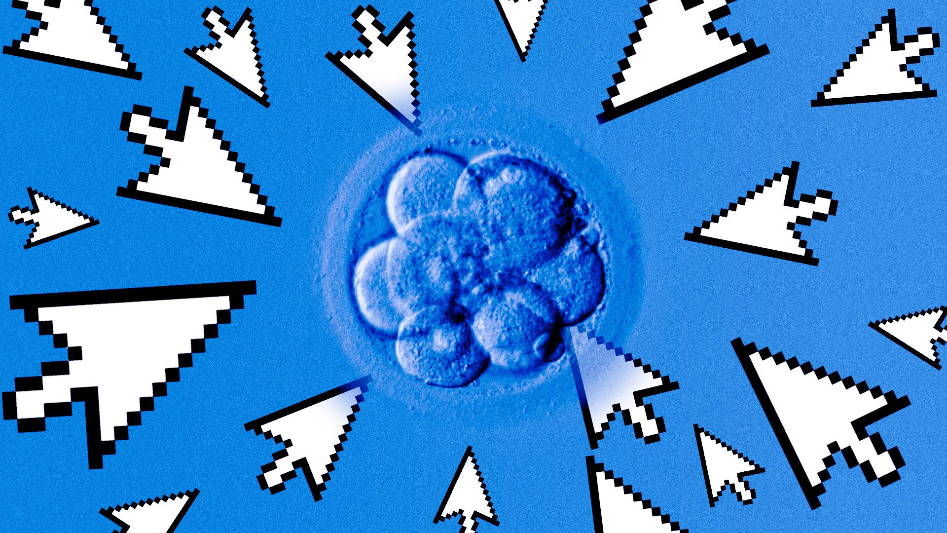 Illustration of an embryo with different sized cursors pointing at it and trying to pierce through. 